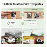 NIIMBOT Etiketteerapparaat B21 Pro, labelprinter, HD, 300 DPI, groen