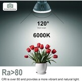 E14 R50 LED Lampen Koelwit Licht, 6,5W Vervangt 100W Halogeenlamp, 6000K 770 Lumen Reflectorlamp, AC 230V Flikkervrij Spotlicht, 120° Stralingshoek Spot, Niet Dimbar, 6 Stuks