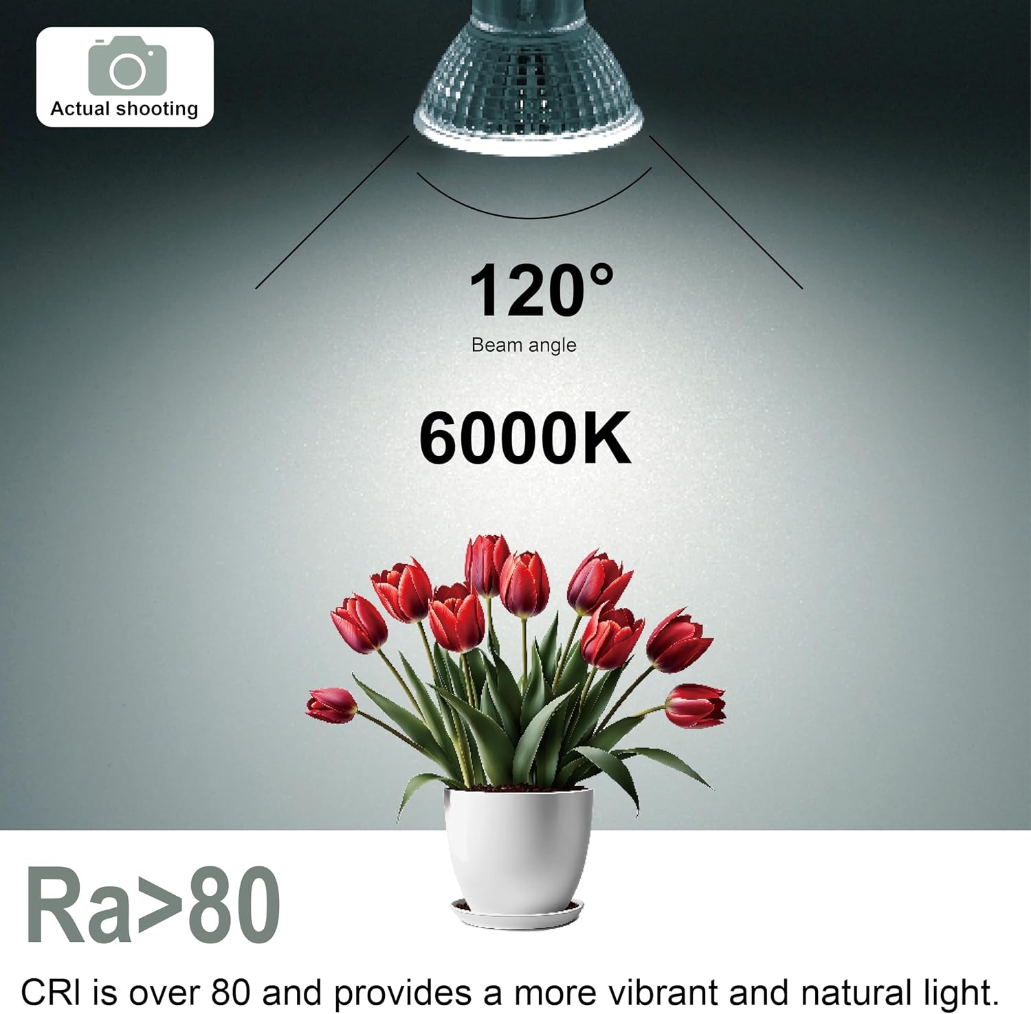 E14 R50 LED Lampen Koelwit Licht, 6,5W Vervangt 100W Halogeenlamp, 6000K 770 Lumen Reflectorlamp, AC 230V Flikkervrij Spotlicht, 120° Stralingshoek Spot, Niet Dimbar, 6 Stuks