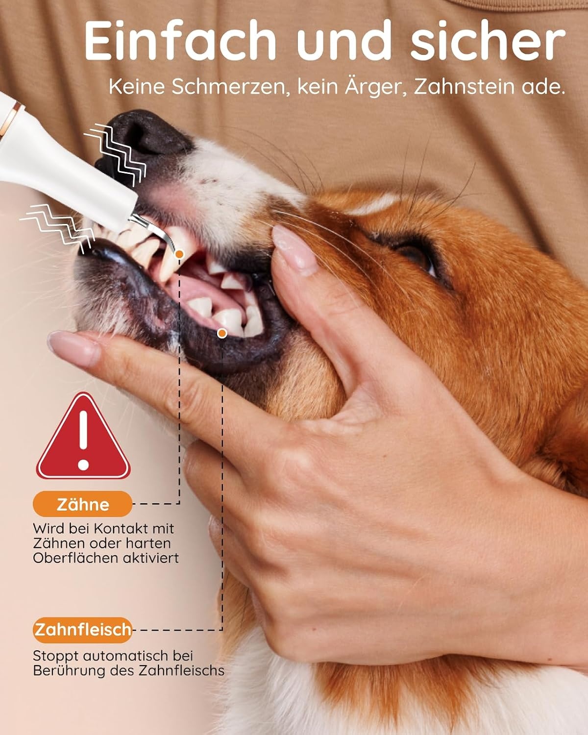 Ultrasone Gebitsreiniger Huisdieren 5-standen Wit - 32% Korting