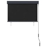 vidaXL Rolgordijn voor buiten 100x250 cm antraciet