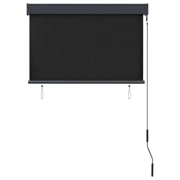 vidaXL Rolgordijn voor buiten 100x250 cm antraciet