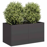 Plantenbak Staal Zwart 80x40x40 cm - 34% Korting