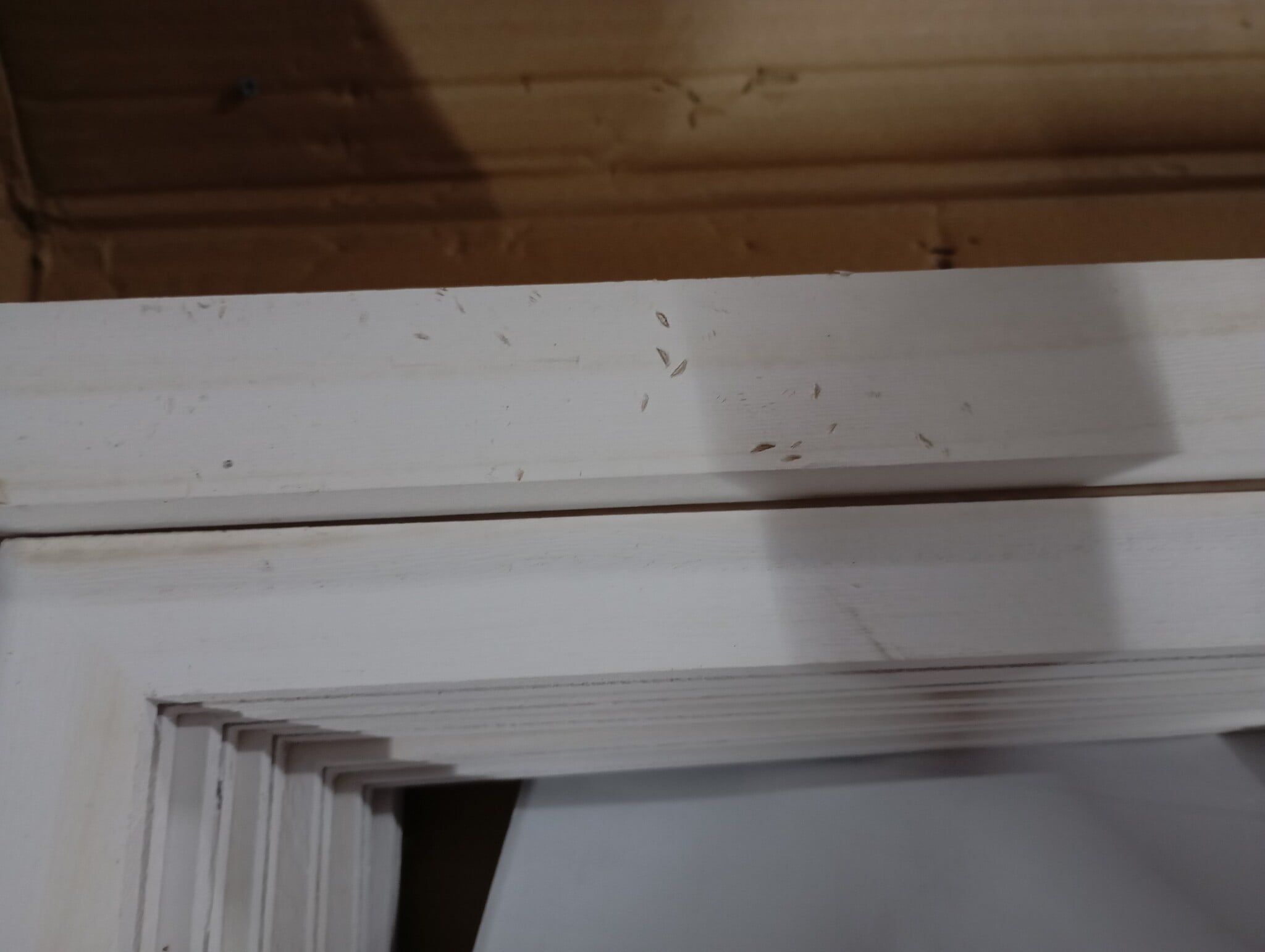 Kamerscherm 3 Panelen Paulowniahout Wit - 54% Korting!