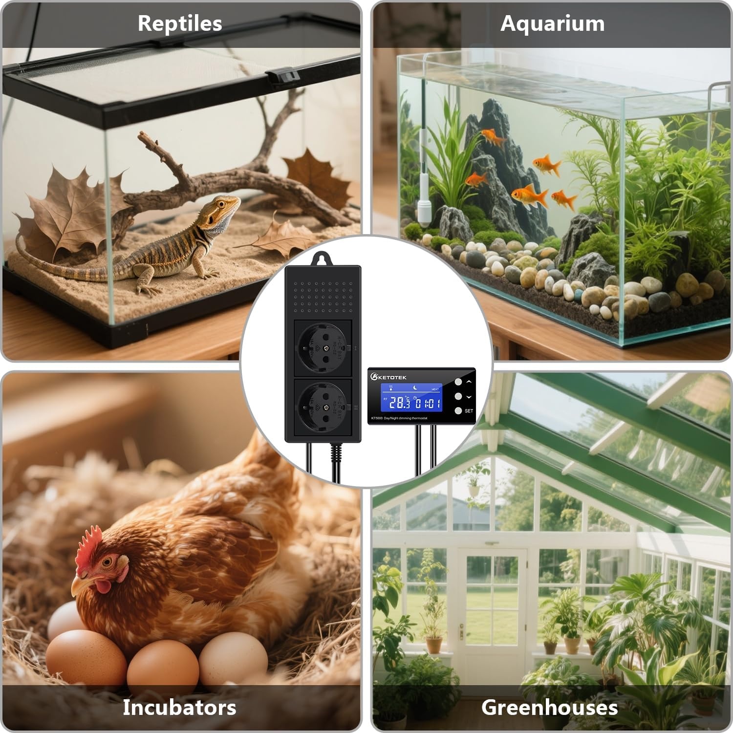KETOTEK Reptielen Thermostaat met Dimfunctie & Timer - 33% Korting