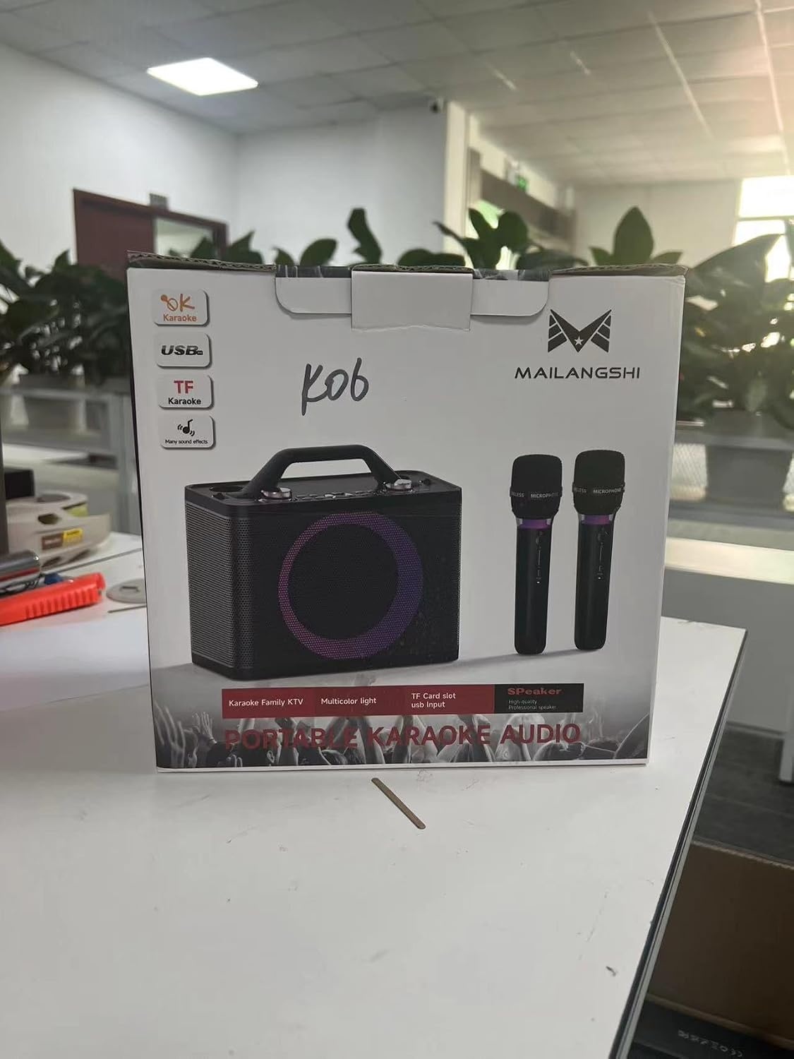 Karaokemachine met 2 microfoons - 34% Korting