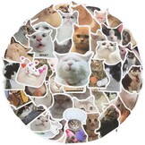 Cobee Stickerset met grappige katten, schattige, waterdichte vinylstickers, mooie stickers voor kattenliefhebbers, voor op je waterfles, in een plakboek, op je telefoon, 50 stuks