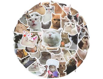 Cobee Stickerset met grappige katten, schattige, waterdichte vinylstickers, mooie stickers voor kattenliefhebbers, voor op je waterfles, in een plakboek, op je telefoon, 50 stuks