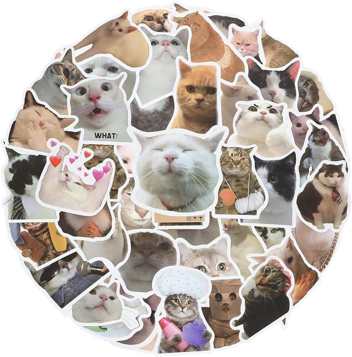 Cobee Stickerset met grappige katten, schattige, waterdichte vinylstickers, mooie stickers voor kattenliefhebbers, voor op je waterfles, in een plakboek, op je telefoon, 50 stuks