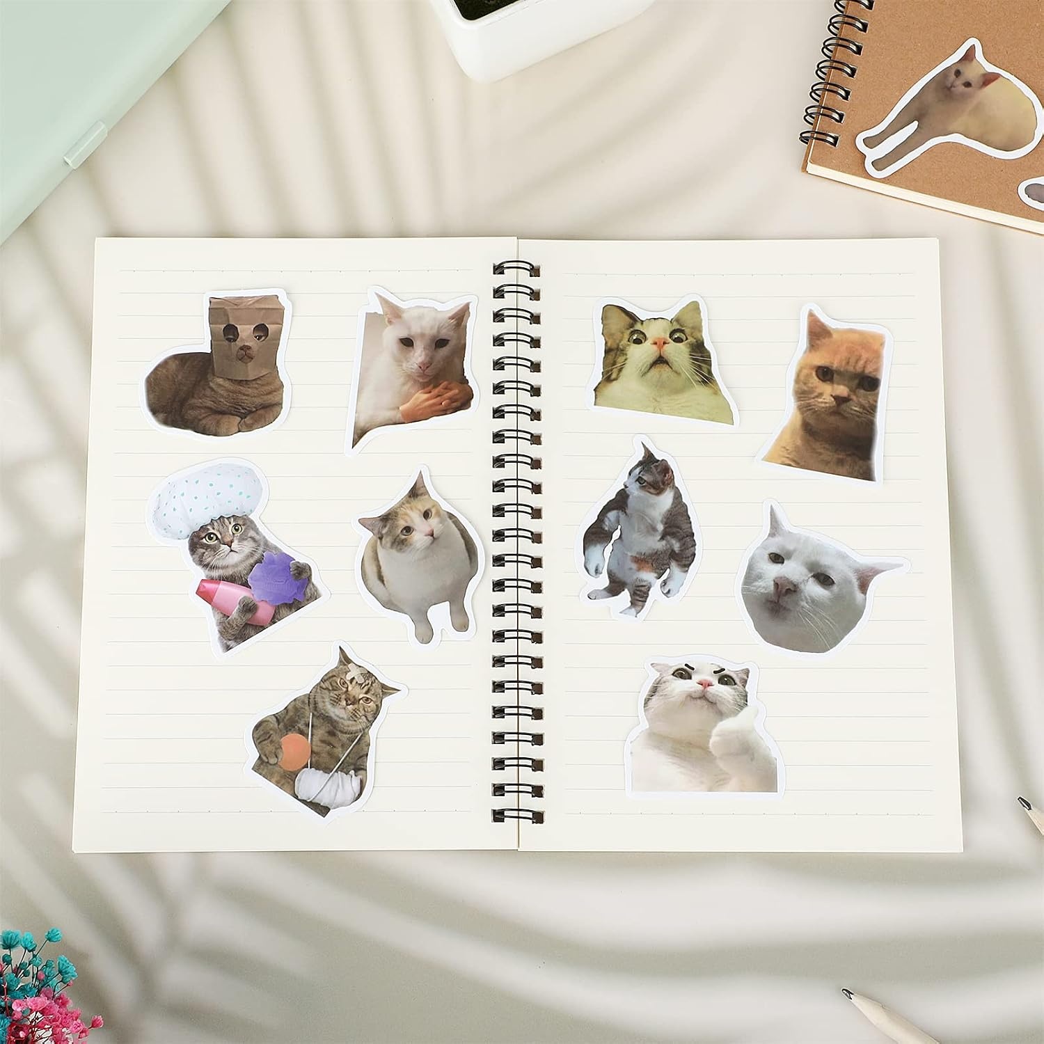 Cobee Stickerset met grappige katten, schattige, waterdichte vinylstickers, mooie stickers voor kattenliefhebbers, voor op je waterfles, in een plakboek, op je telefoon, 50 stuks