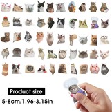 Cobee Stickerset met grappige katten, schattige, waterdichte vinylstickers, mooie stickers voor kattenliefhebbers, voor op je waterfles, in een plakboek, op je telefoon, 50 stuks