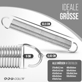 Garagepoortveer Set 535x50x6,3 mm - 2 Stuks Trekveren - 150kg Trekkracht