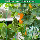 Klimnet, komkommers, 5 x 1,8 m, klimhulp, komkommers met 50 kabelbinders, klimplanten, ranknet, tomaten, bloemen en andere groenteplanten