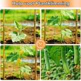Klimnet, komkommers, 5 x 1,8 m, klimhulp, komkommers met 50 kabelbinders, klimplanten, ranknet, tomaten, bloemen en andere groenteplanten