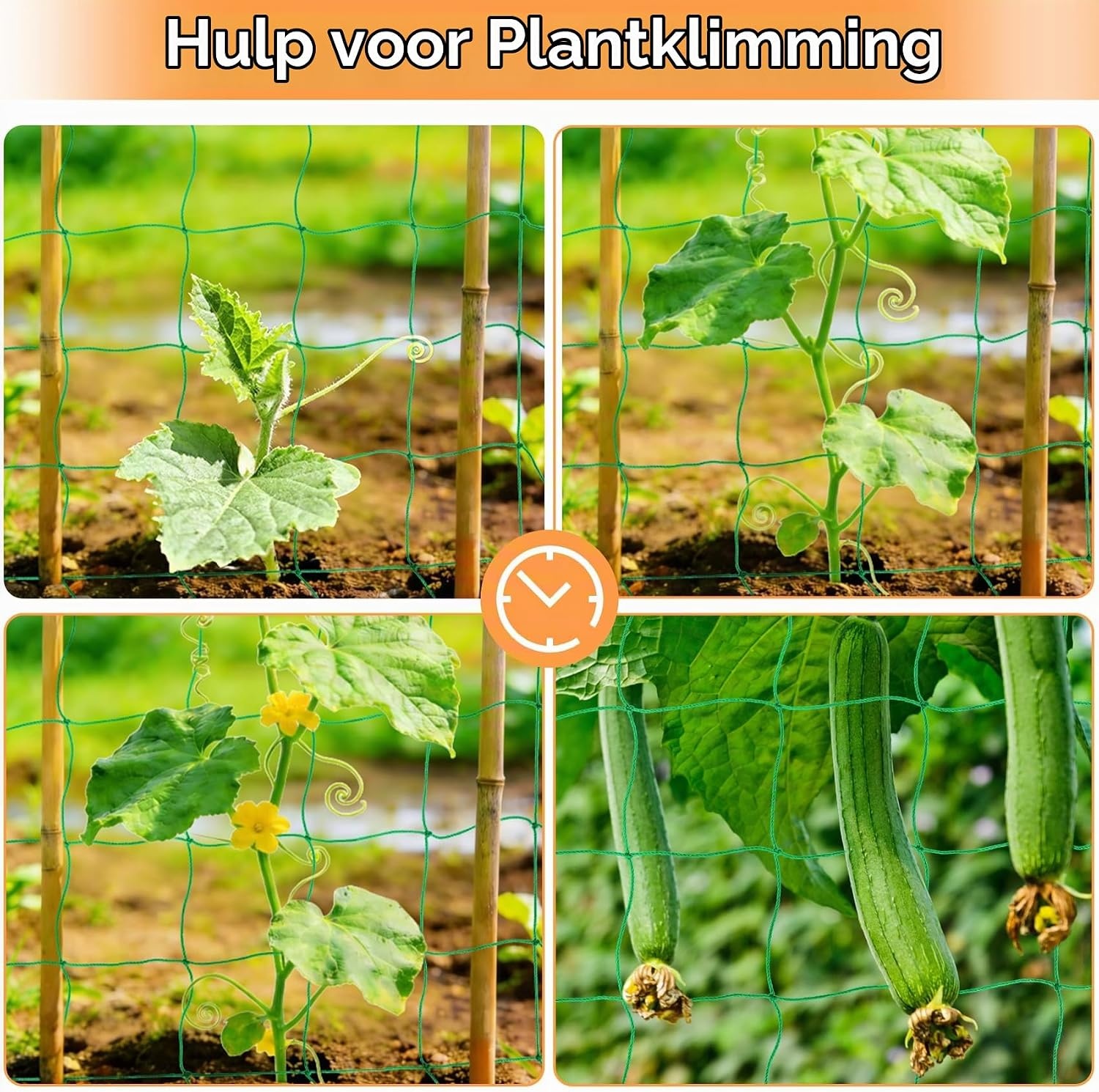 Klimnet, komkommers, 5 x 1,8 m, klimhulp, komkommers met 50 kabelbinders, klimplanten, ranknet, tomaten, bloemen en andere groenteplanten