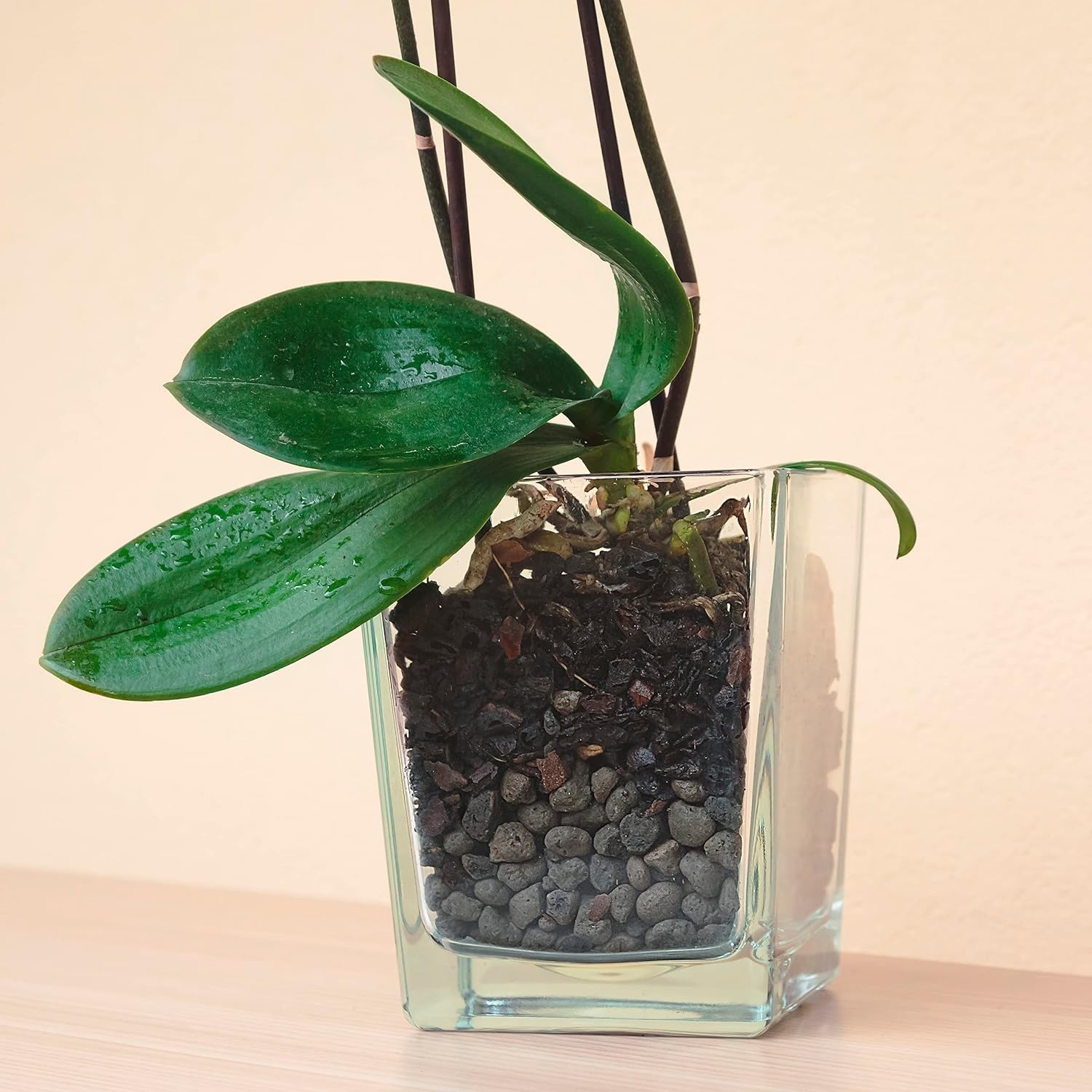 R&R SHOP – Geëxpandeerde klei voor planten, neutrale PH, ideaal voor kieming, beluchting, drainage, verbetering van de plantengroei – 2L