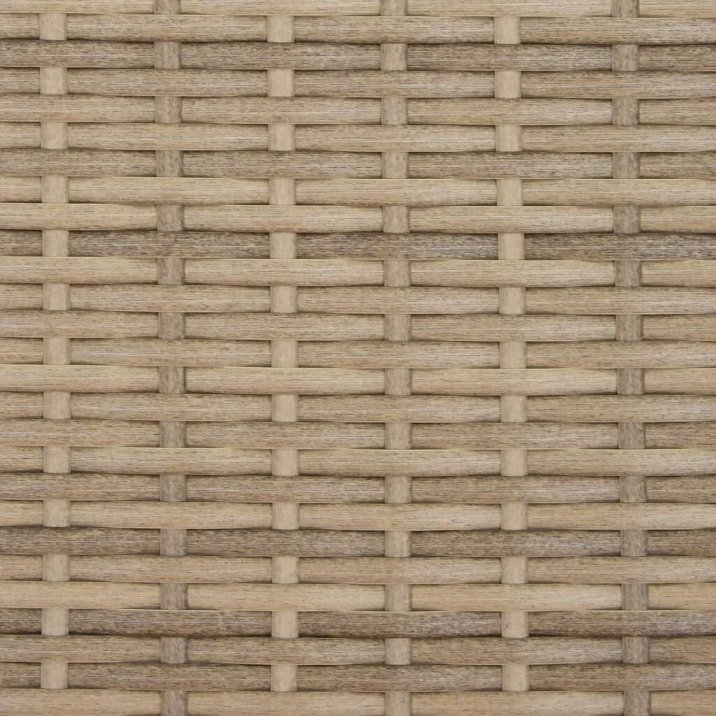 vidaXL Tuinbank 2-zits met Voetenbanken Poly Rattan Beige - 35% Korting!