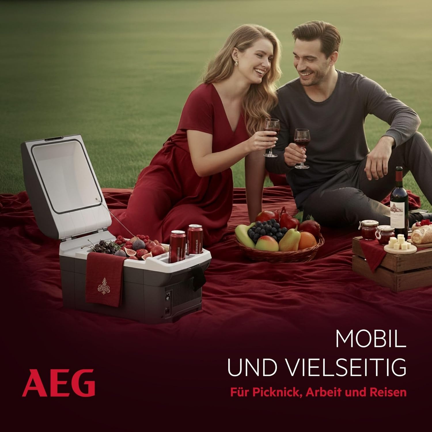 AEG Koel-/Warmhoudbox 16L (12V/230V) - 34% Korting!