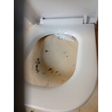 CUQOO Vierkante Toiletbril met Soft-Close en Quick-Release - Wit - 44,5 x 34,5 cm