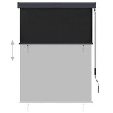 Buiten Rolgordijn 120x250cm Antraciet - 34% Korting