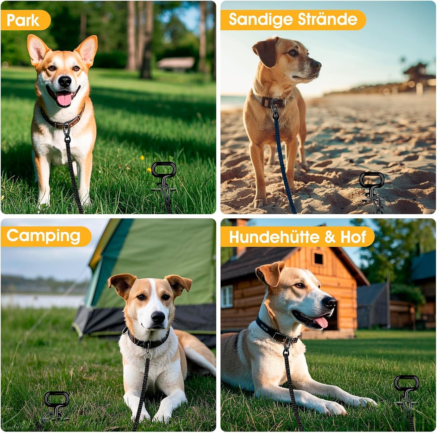 Honden grondanker spiraal - Extra stabiel (max 100kg) - 31% korting!