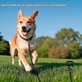 Honden grondanker spiraal - Extra stabiel (max 100kg) - 31% korting!