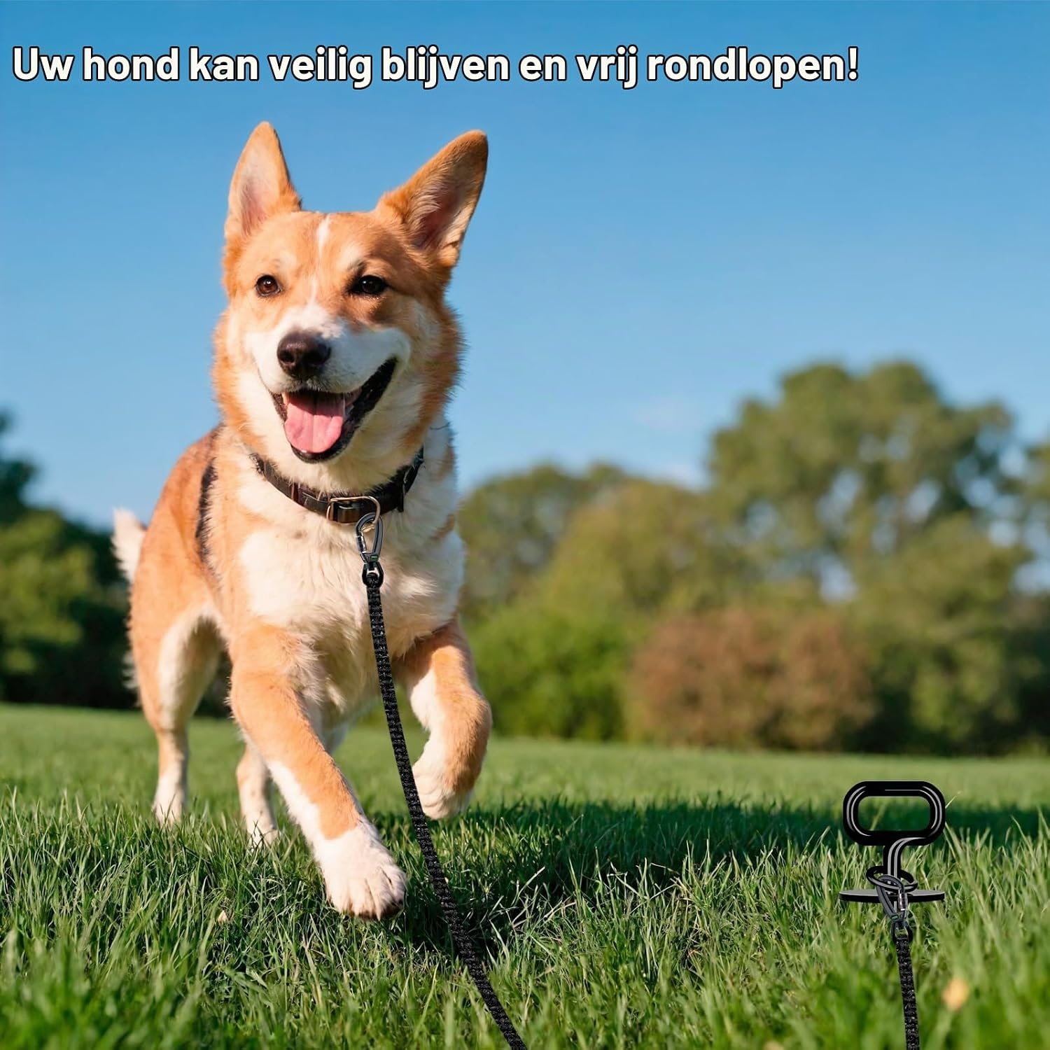 Honden grondanker spiraal - Extra stabiel (max 100kg) - 31% korting!