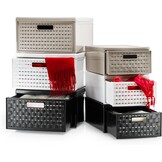Rotho Country Ladebox 19.2l met 1 lade in rotan-look, Kunststof (PP) BPA-vrij, antraciet, groß/19.2l (45.0 x 34.0 x 20.0 cm)