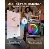 Draagbare Karaoke Partybox met 2 Microfoons - 34% Korting