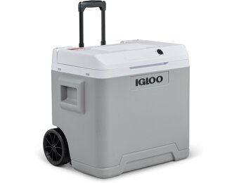 Elektrische Koelbox 42L - Auto, Camper, Camping | 12V/230V | 34% Korting