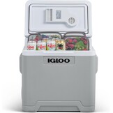 Elektrische Koelbox 42L - Auto, Camper, Camping | 12V/230V | 34% Korting