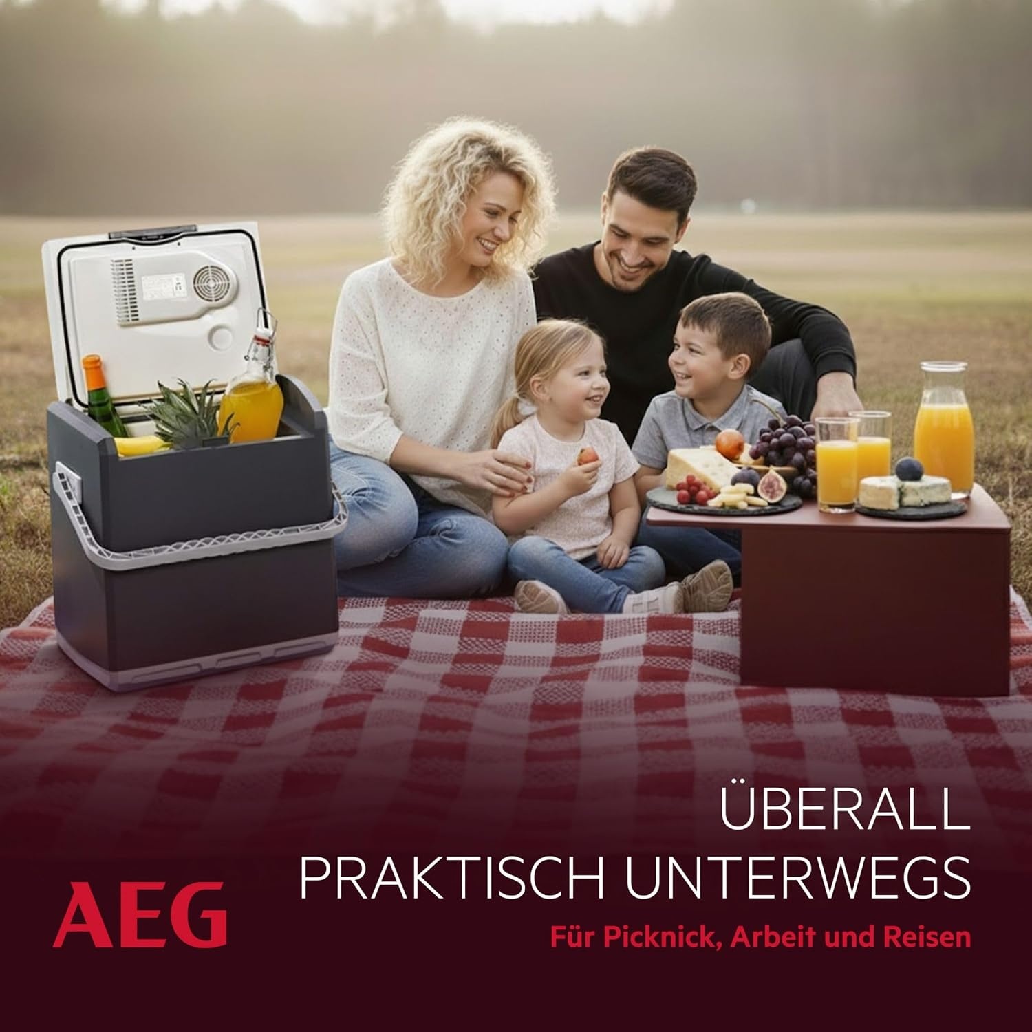 AEG Automotive KK Thermo-elektrische koelbox, 28 liter, 12/230 volt voor auto en stopcontact, zwart - Maat 28 Liter
