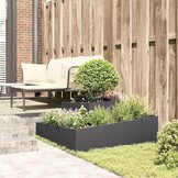 Plantenbak Zwart Koudgewalst Staal 100x100x50cm - 46% Korting
