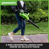 Greenworks Accu Bladblazer/Zuiger 48V (2x24V) 4Ah - 35% Korting - Groen Zwart