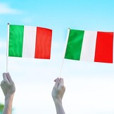 Italiaanse Vlaggetjes 10 stuks met Stokjes - 50% Korting
