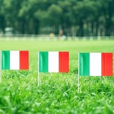 Italiaanse Vlaggetjes 10 stuks met Stokjes - 50% Korting