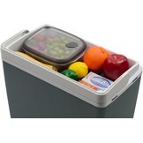 Elektrische Koelbox Auto/Vrachtwagen 21L 12V Grijs - 33% Korting