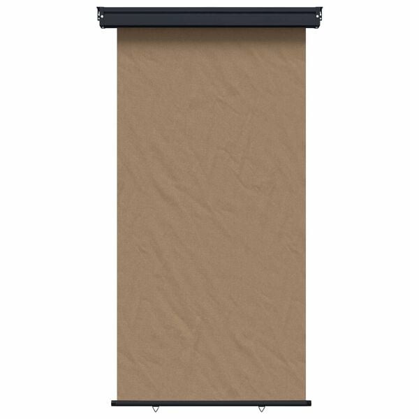 vidaXL Zijscherm Balkon 117 x 250 cm 100% polyester ijzer staal Taupe