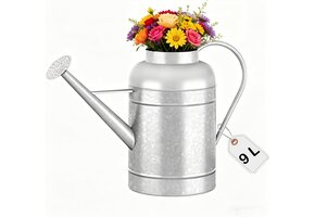 Gieter Verzinkt Staal 8.7L - Binnen & Buiten Planten (39% Korting)