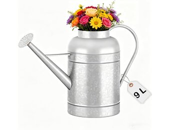 Verzinkte irrigatiekan voor binnenplanten buiten, kom van 2,3 gallon, waterkan met afneembare uitloop, metalen irrigatiekan voor binnenplanten en tuinbloemen