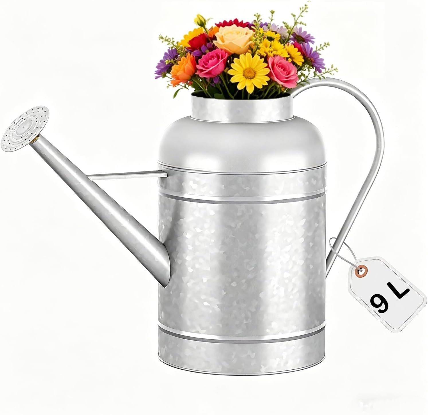 Verzinkte irrigatiekan voor binnenplanten buiten, kom van 2,3 gallon, waterkan met afneembare uitloop, metalen irrigatiekan voor binnenplanten en tuinbloemen