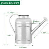Verzinkte irrigatiekan voor binnenplanten buiten, kom van 2,3 gallon, waterkan met afneembare uitloop, metalen irrigatiekan voor binnenplanten en tuinbloemen