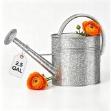 Verzinkte irrigatiekan voor binnenplanten buiten, kom van 2,3 gallon, waterkan met afneembare uitloop, metalen irrigatiekan voor binnenplanten en tuinbloemen