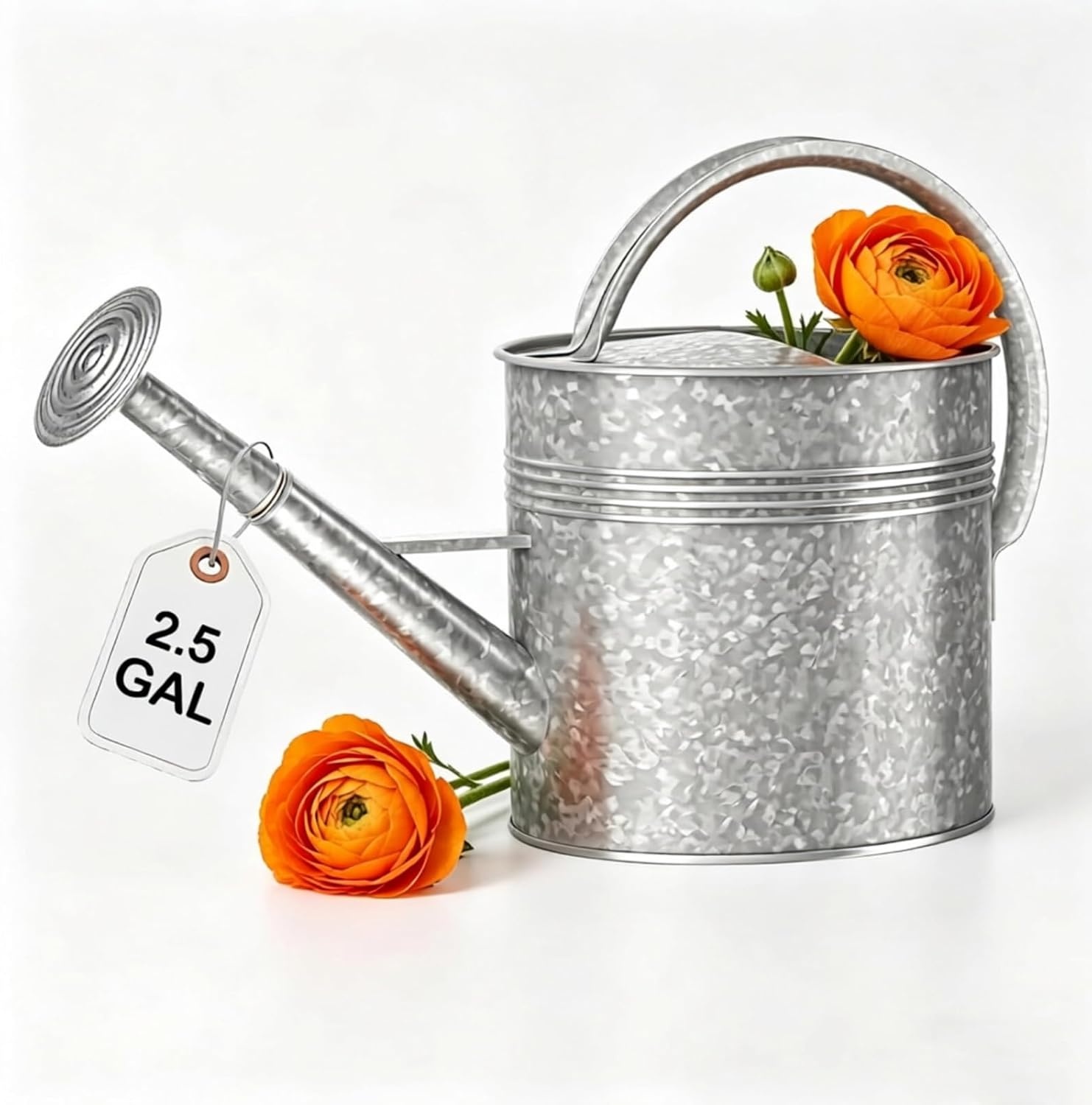 Verzinkte irrigatiekan voor binnenplanten buiten, kom van 2,3 gallon, waterkan met afneembare uitloop, metalen irrigatiekan voor binnenplanten en tuinbloemen