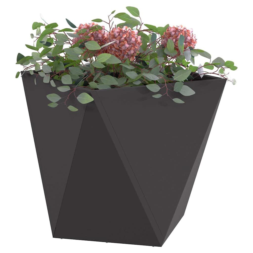 vidaXL Plantenbak 2 st Zwart 50 x 50 x 50 cm Staal