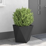 vidaXL Plantenbak 2 st Zwart 50 x 50 x 50 cm Staal