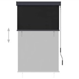 vidaXL Rolgordijn voor buiten 100x250 cm antraciet