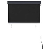 vidaXL Rolgordijn voor buiten 100x250 cm antraciet