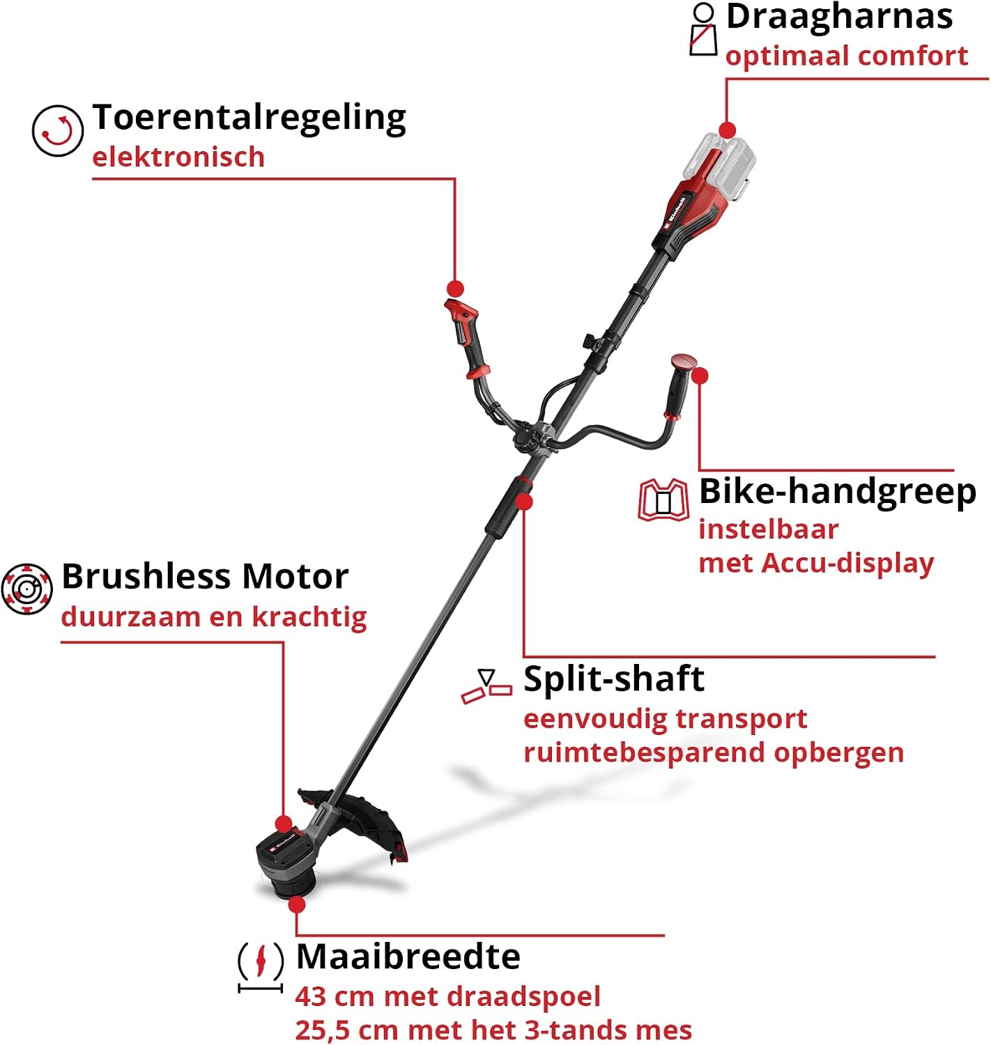 Einhell Professional Accu-Bosmaaier GP-BC 36/430 Li BL-Solo - 43 cm snijbreedte - Rood