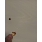 vidaXL Boekenkast 5-laags BODO 82x40x173 cm massief grenenhout bruin